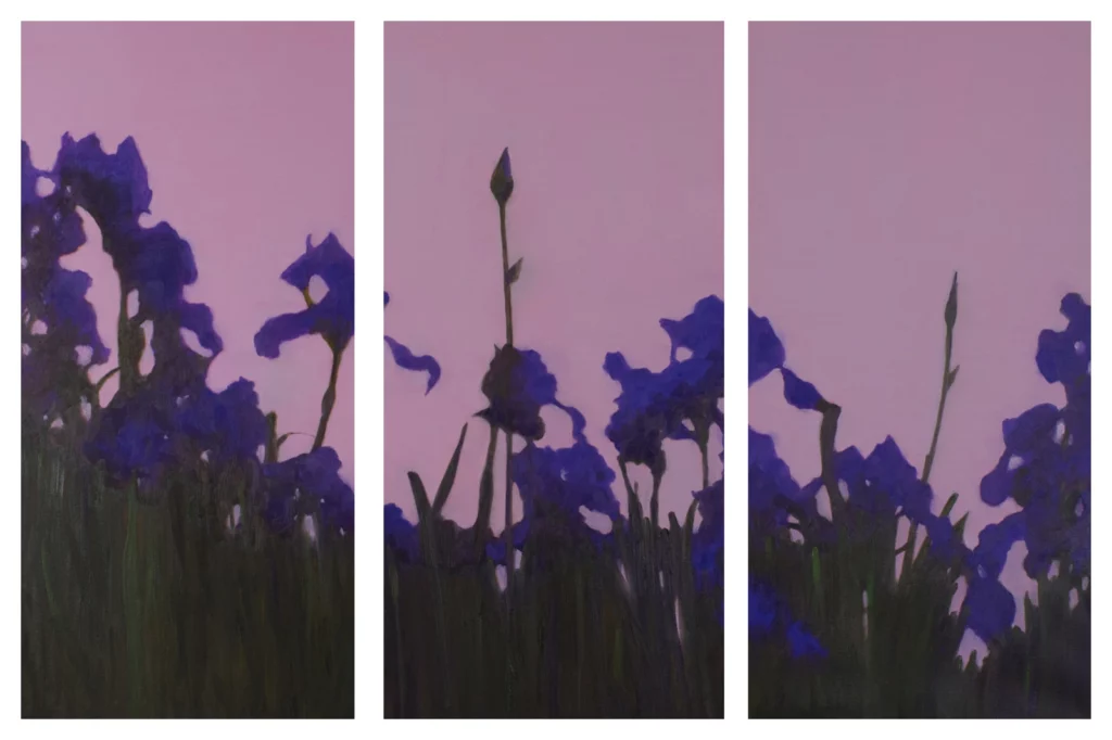 Irises